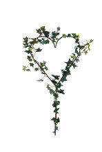 Espalier hjerteformet 39 x 79 cm - Gardenlife